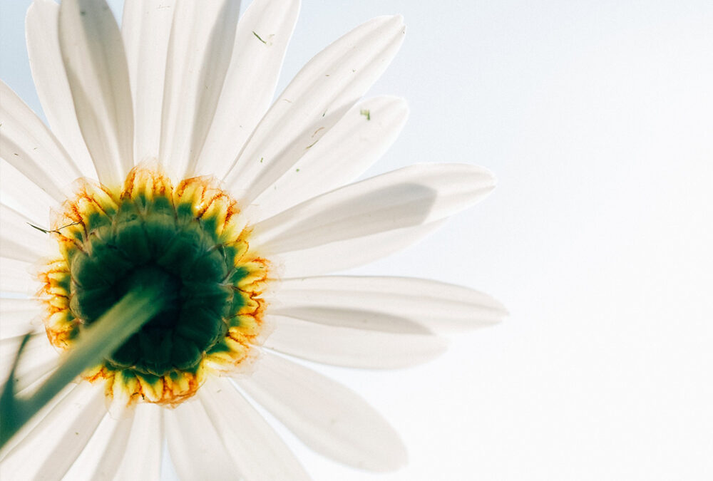 Sommerferien 2020 im Yoga Zentrum Wiesbaden